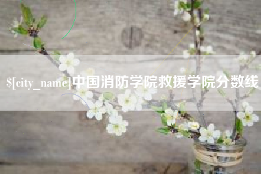 庄河中国消防学院救援学院分数线