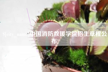 庄河中国消防救援学院招生章程公布!