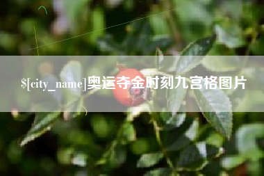 庄河奥运夺金时刻九宫格图片