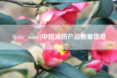 庄河中国消防产品质量信息