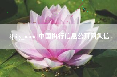 庄河中国执行信息公开网失信