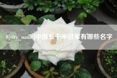 庄河中国五千米冠军有哪些名字