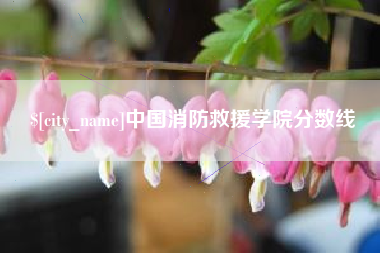 庄河中国消防救援学院分数线