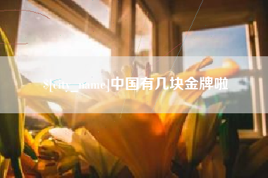庄河中国有几块金牌啦