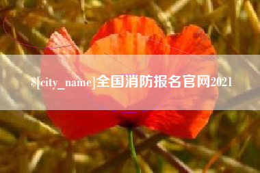 庄河全国消防报名官网2021