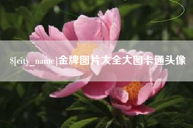 庄河金牌图片大全大图卡通头像