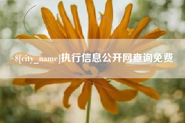 庄河执行信息公开网查询免费