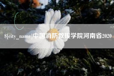 庄河中国消防救援学院河南省2020